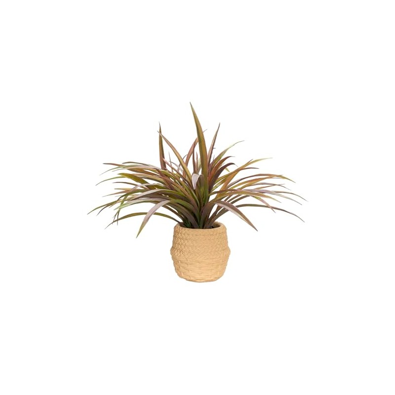 D&W Silks Spider Plant in Cement Pot