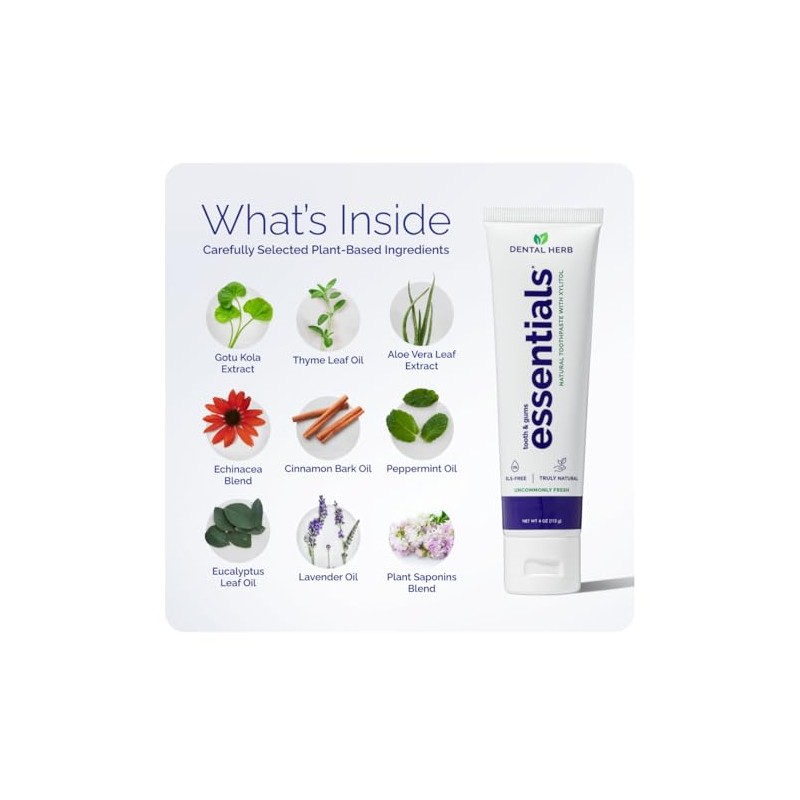 Dental Herb Company Tooth & Gums NEW Essentials Toothpaste