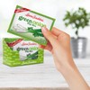Laura Scudders Green Onion Dry Dip Mix, Great For Vegetables,
