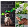 ARING PET 2 Pack St. Patrick's Day Cat Collars-Cute Green