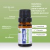 Aceite Esencial De Menta Piperita Concentrado Puro 100%