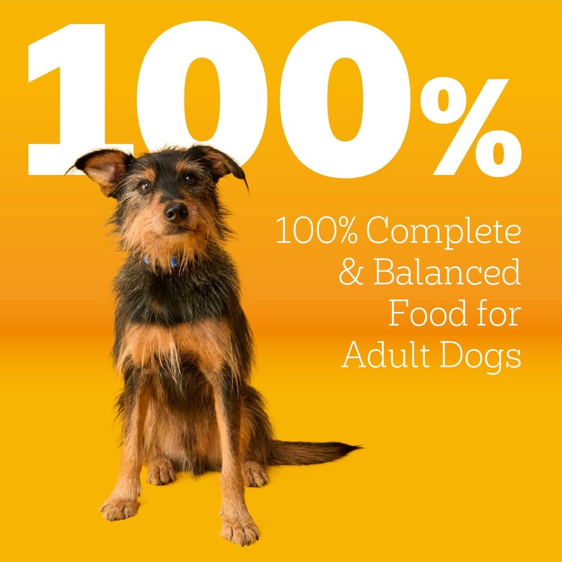 Pedigree Complete Nutrition Adult Dry Dog Food, Roasted Chicken &