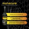 Molecure CR12 Catalytic Restore Emission Treatment – Catalytic Converter Cleaner