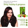 Neha Herbal Mehandi (Henna) 100% Herbal Enriched With ALOE VERA,