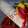 Freshian Vegan Serum Lip Tint (04 Earthy)