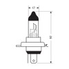 HS1 12 V 35/35 W P43t Halogen Bulb