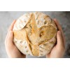 Heritage Sourdough Sourdough Starter DEHYDRATED Organic 175+ Year Old Italian