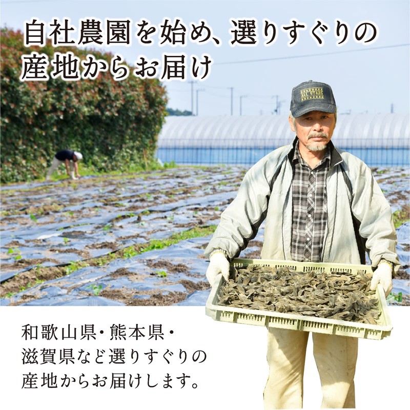 Japanese Mukuna Bean Tea Bag 0.1 oz (3.3 g) x
