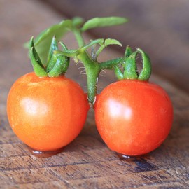 Tomato Seeds for Planting - Baxter's Early Bush Cherry - 250 Mg 65+ Seeds - Farm & Garden Vegetable Seeds - Non-GMO, Heirloom - Sealed in a Beautiful Mylar Package for Extended Shelf Life