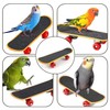 Phyxiul Bird Toy, Skateboard, Pet Supplies, Parakeet, Mini Skating Animal,