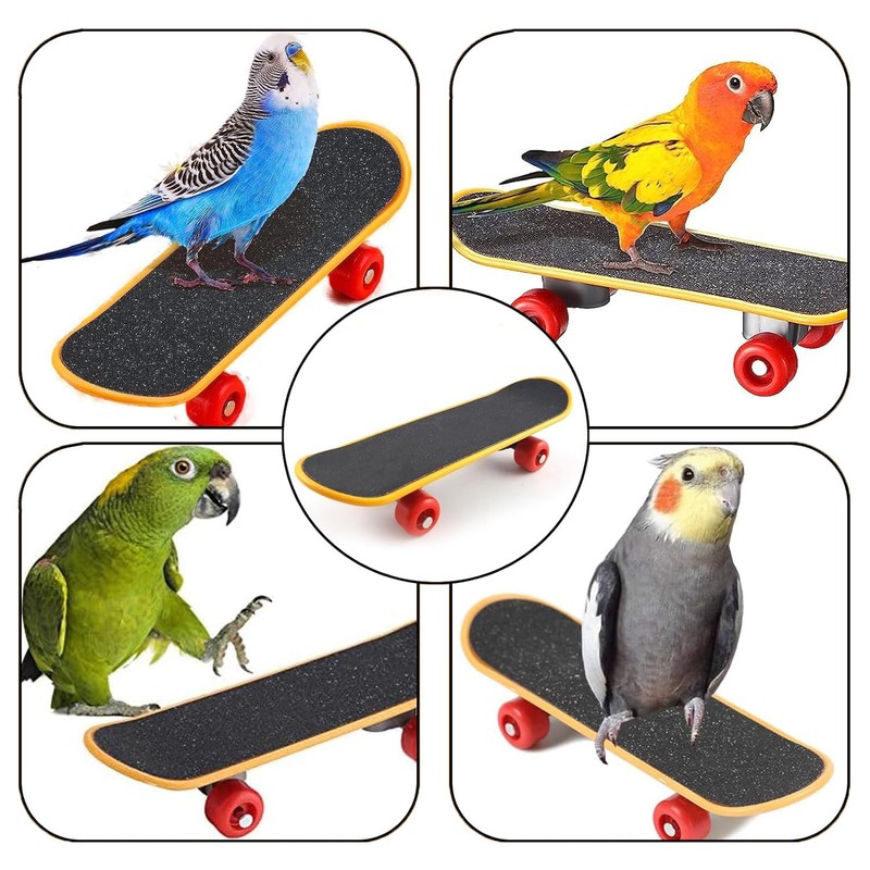 Phyxiul Bird Toy, Skateboard, Pet Supplies, Parakeet, Mini Skating Animal,