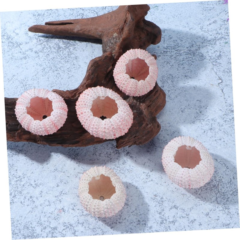 Artibetter 18 Pcs Sea Urchin Shells Crafts Conch Shells Sea