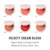 Jillian Dempsey Cheek Tint - Blush Sun-kissed Nude, 0.11 Ounce