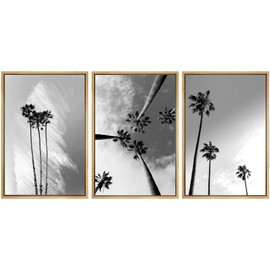 SIGNWIN 3 Piece Framed Canvas Wall Art Black and White Palm Tree Canvas Prints Home Artwork Decoration for Living Room,Bedroom - 16"x24"x3 Natural