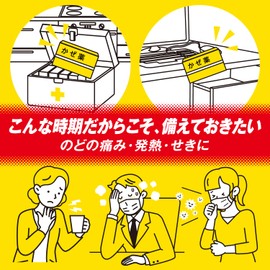 【指定第2類医薬品】パブロンエースPro微粒 6包