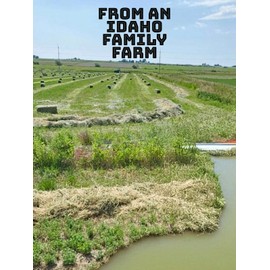 prayerclosetstore Alfalfa Hay for Rabbits & Small Pets 5 lbs