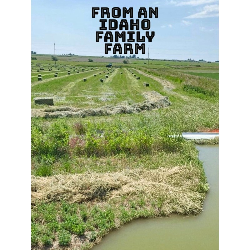 prayerclosetstore Alfalfa Hay for Rabbits & Small Pets 5 lbs