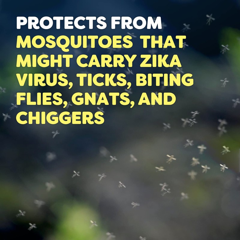 RaidOFF Off Deep Woods Insect Repellent 6oz (Pack of 3)