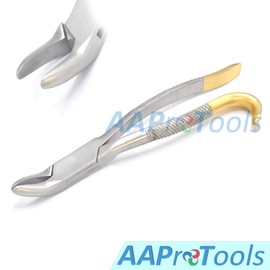 AAProTools Wolf Tooth Extractor Forceps Dental Equine Instruments 9.5" Gold Handle
