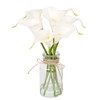 Muhanjia Artificial Flowers Calla Lily in Glass Vase with Faux