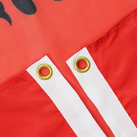AZ FLAG 2 x Albania Flag 90 x 60 cm - Albania Flag - 100% Polyester - With Metal Eyelets - Pack of 2