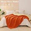 Exclusivo Mezcla Reversible King Size Sherpa Fleece Blanket, Soft Plush