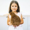 Kiwi Bird Plush Toy, Cuddly Toy, Furry Kiwi Plush Doll,