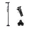 Folding cane, length-adjustable silver item for the elderly portable