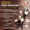 Villa Vainilla Pure Vanilla Extract - Premium Concentrated, Real, Natural,