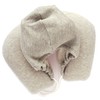 Advance Travel Air Neck Pillow (Hoodie Hooded) Made in Japan