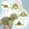 30cm Turtle Teddy, Little Turtle Plush Toy, Weighted Cute Turtles