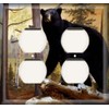 SnazzySwitch Bear Museum Decorative Combo Light Switch Outlet Cover -