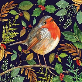 Museums & Galleries Charity Christmas Cards - Christmas Robin & Festive Branches - Eco-Friendly and Recyclable - Pack of 8 Cards