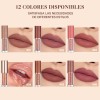 Set de 12 Labiales Líquidos Indelebles | Larga Duración &