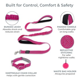 PAWZPAL 6FT Heavy Duty Bungee Dog Leash with Martingale Collar – Dual Chain & Padded Handle, Shock Absorbing, Reflective, Ideal Training Set for Small to Large Dogs Daily Walk