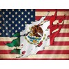DVWIVGY Diamond Painting Kit for Adults Mexico American Flag Decorative Kits Gem Art Wall Home Decor 12x16 inch
