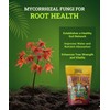 FoxFarm Happy Frog Japanese Maple Fertilizer, Nutrient-Rich Formula for Japanese