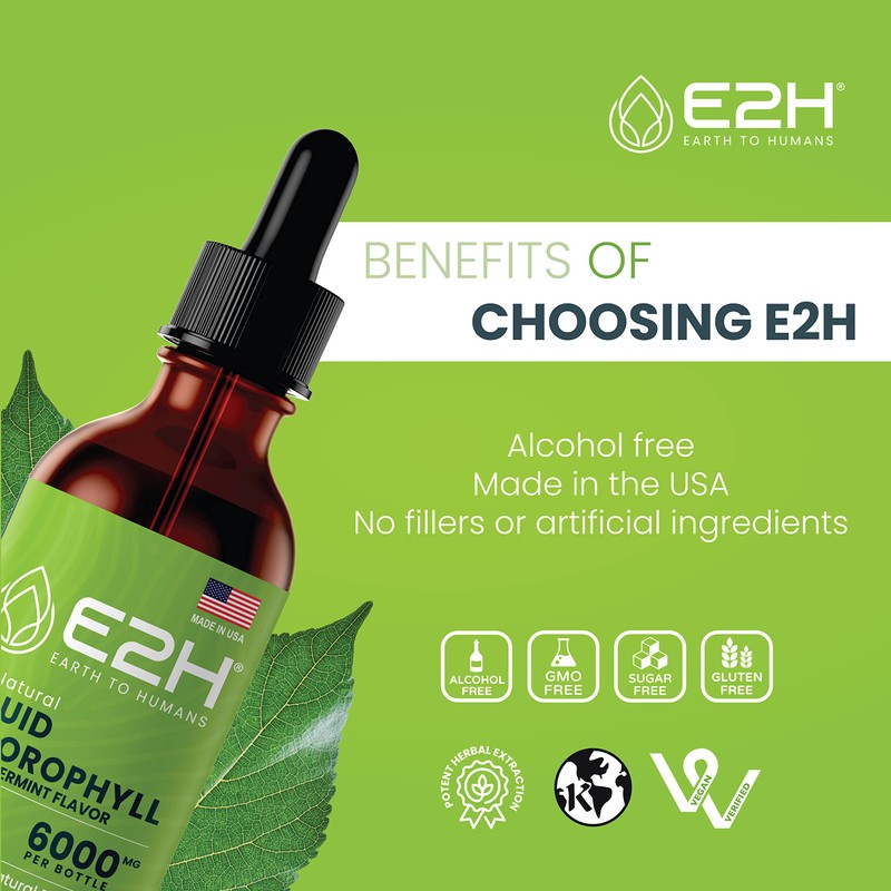 E2H Chlorophyll Liquid Drops - Natural Energy Booster, Immune System