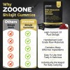 ZOOONE Pure Himalayan Shilajit Gummies – 60 Count – Gold