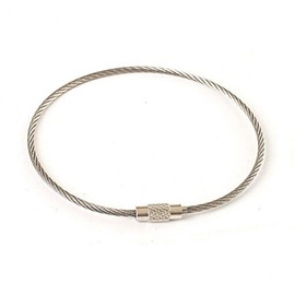 Wire Carabiner 20cm 10P Camping Keyring Storage Ring Locking Supplies Mountaineering Stainless Steel Keychain 10 sets/2mmx20CM 2ea