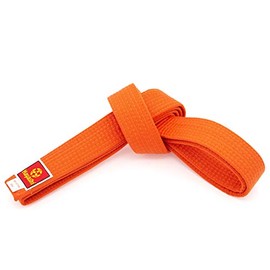 Hayashi 050-3220 Martial Arts Belt, Orange, 220 Zentimeter