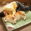 Pet Dog Bed Mat Dog Mat Plush Pet Mat Protect