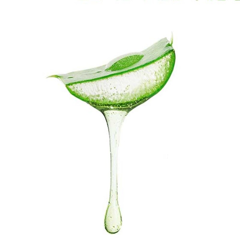 Aloe Collagen Hyaluronic Acid Skin Health Skin Moisturizing Aloe Vera