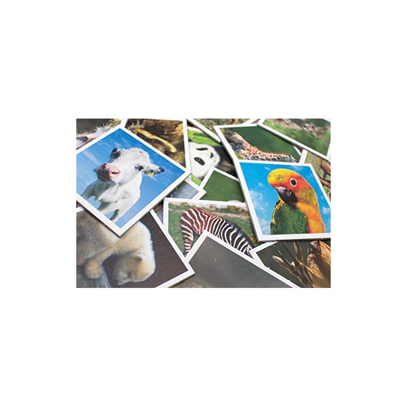 Tactic Memo Animal Babies