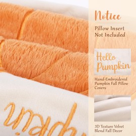 BEWQ Fall Embroidered Orange Pumpkin Pillow Covers 18x18 inch, Throw Pillow Case Farmhouse Thanksgiving Decor Cushion Cover for Sofa Bed Porch Home Decor