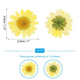 PATIKIL 48 Pcs Dried Pressed Flower Natural Dried Daisy Flower for DIY Art Crafts House Decoration Nails Decoration,Lemon Yellow