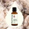 Plant Therapy Copaiba Oleoresin 30 mL (1 oz) 100% Pure,