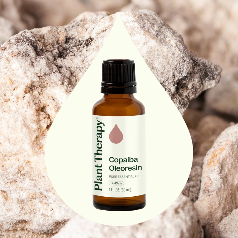 Plant Therapy Copaiba Oleoresin 30 mL (1 oz) 100% Pure,