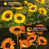Solar Lights Outdoor Decorative, Upgraded 2 Pack with 6 Solar