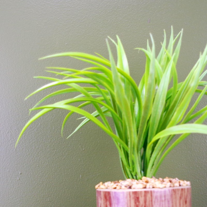 Leaf Office Artificial Plants, Desktop Realistic